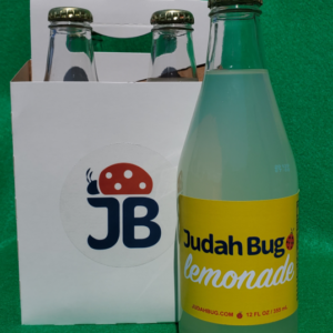 Lemonade 4-Pack